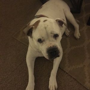 Meet your Posher, Mary